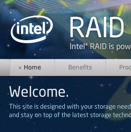 Intel® RAID Solutions