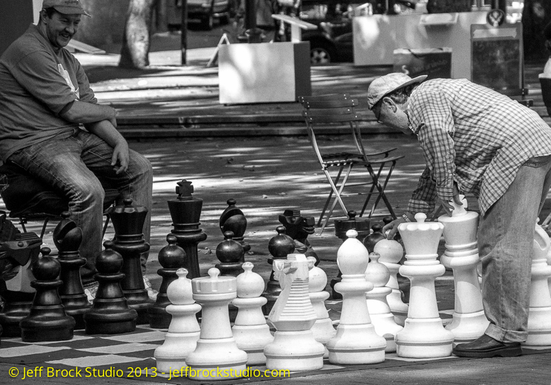 Photo 365 No. 103 – It’s Your Move