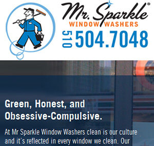 Mr. Sparkle Window Washers
