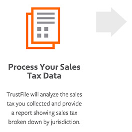 Avalara TrustFile